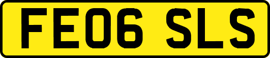 FE06SLS