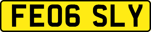 FE06SLY