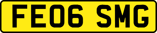 FE06SMG