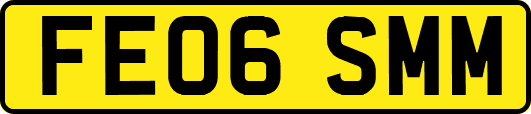 FE06SMM