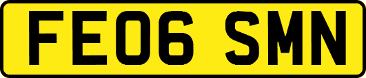 FE06SMN