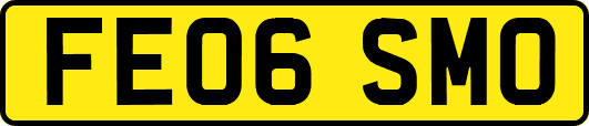 FE06SMO