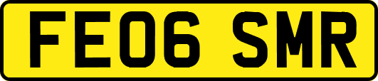 FE06SMR