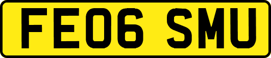 FE06SMU