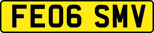 FE06SMV