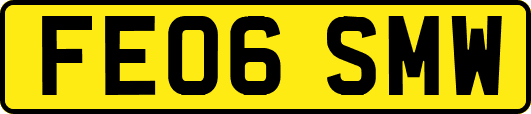 FE06SMW