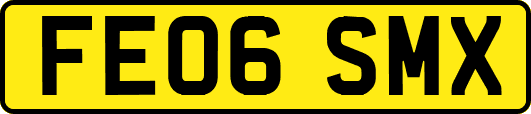 FE06SMX