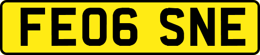 FE06SNE