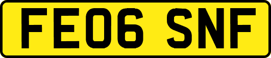 FE06SNF
