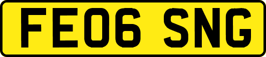 FE06SNG