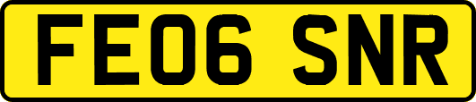FE06SNR
