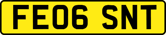FE06SNT