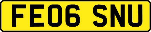 FE06SNU