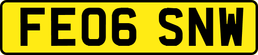 FE06SNW