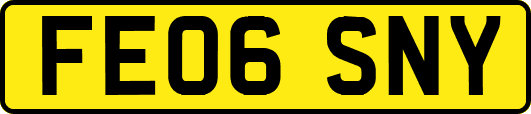 FE06SNY
