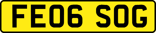 FE06SOG