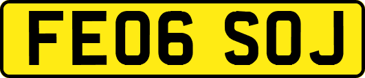 FE06SOJ