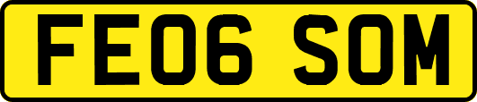 FE06SOM