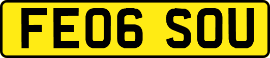FE06SOU