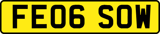 FE06SOW