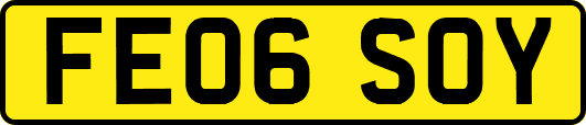 FE06SOY
