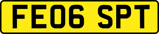 FE06SPT