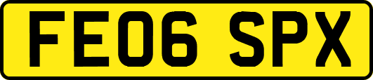 FE06SPX