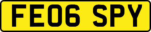 FE06SPY