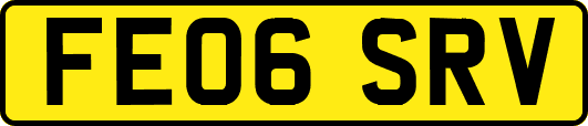 FE06SRV