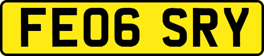 FE06SRY