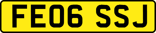 FE06SSJ