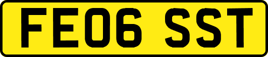 FE06SST