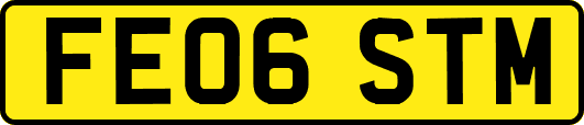 FE06STM