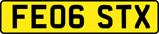FE06STX