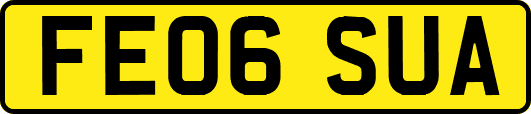 FE06SUA