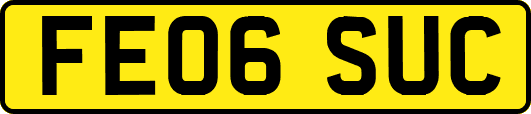 FE06SUC