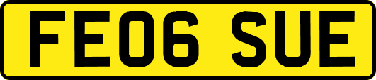 FE06SUE