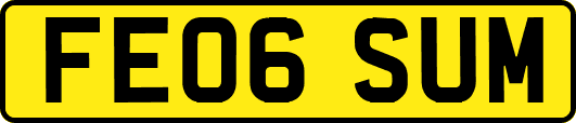 FE06SUM