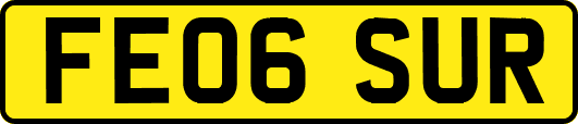 FE06SUR