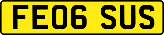 FE06SUS