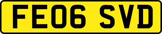 FE06SVD