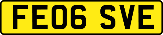 FE06SVE
