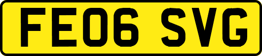 FE06SVG