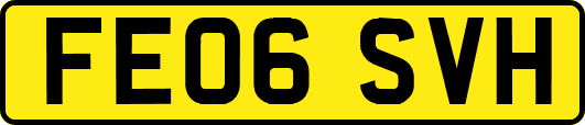 FE06SVH