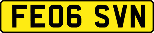 FE06SVN