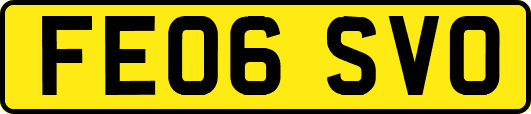 FE06SVO