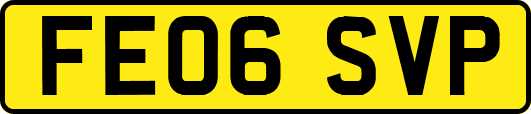 FE06SVP