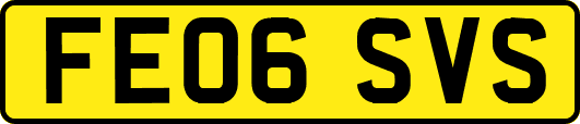 FE06SVS
