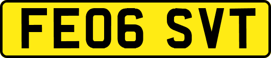 FE06SVT