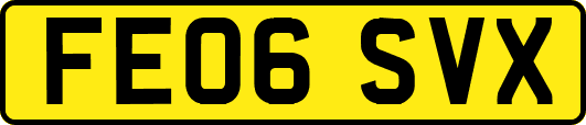 FE06SVX